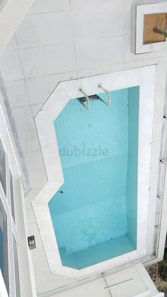 DPV_View_Image_4
