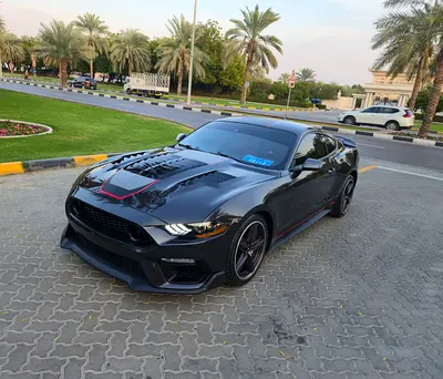 Ford Mustang Mach 1 Premium, миниатюра 2