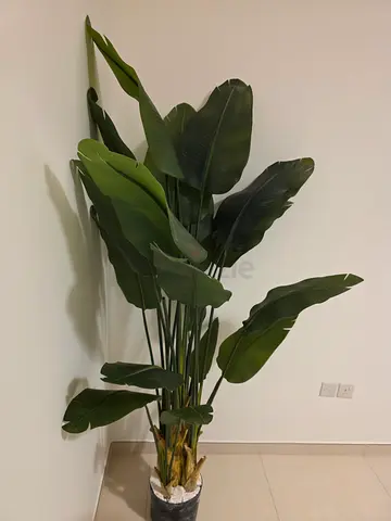 Large artificial Bird of Paradise plant in pot - good condition