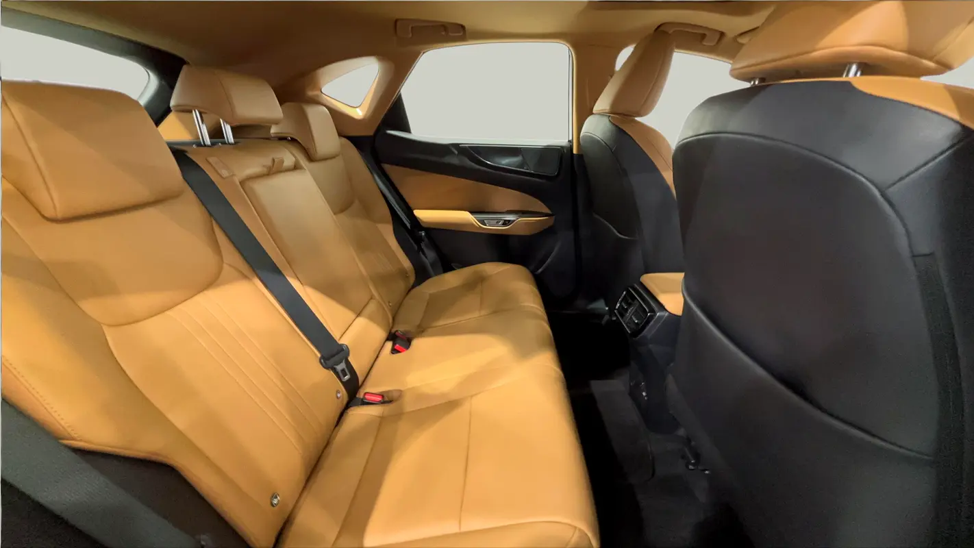 Lexus NX-Series 2023