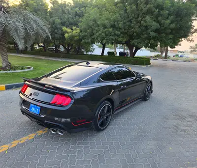 Ford Mustang Mach 1 Premium, миниатюра 10
