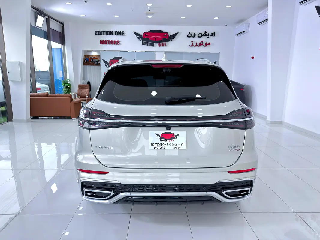 هونغ تشي إتش إس 5 2025
