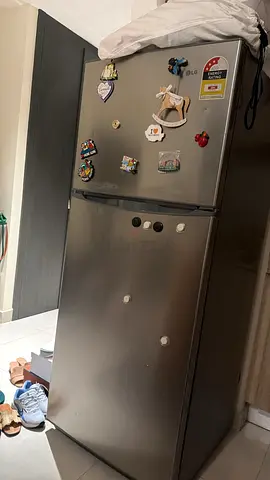 LG Double Door Refrigerator Silver Finish