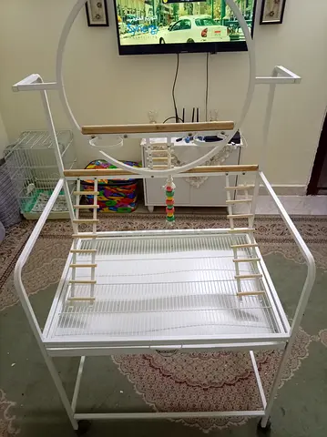 Large white bird playstand with multiple perches and ladder accessories