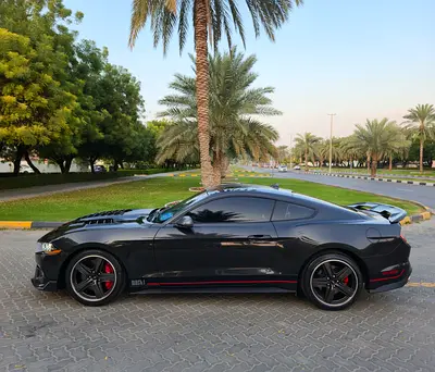 Ford Mustang Mach 1 Premium, миниатюра 8