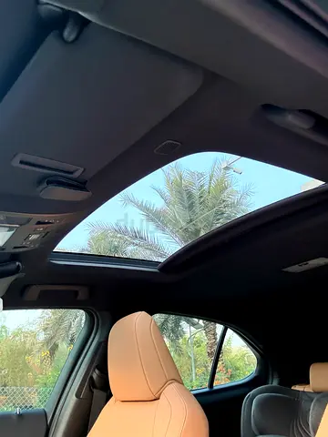 Lexus UX UX300h Premier, миниатюра 7