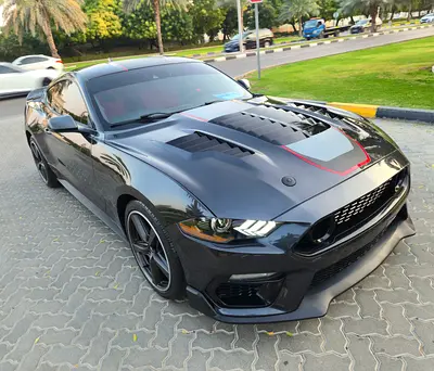 Ford Mustang Mach 1 Premium, миниатюра 4