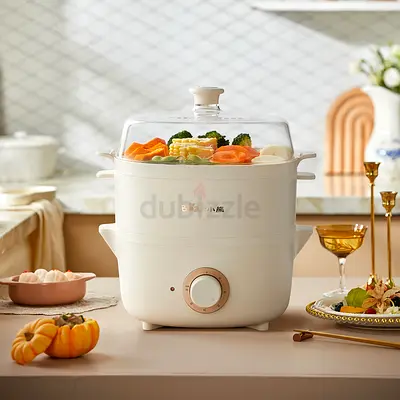 Electric 2-Tier Food Steamer – Compact Multifunction Cooker