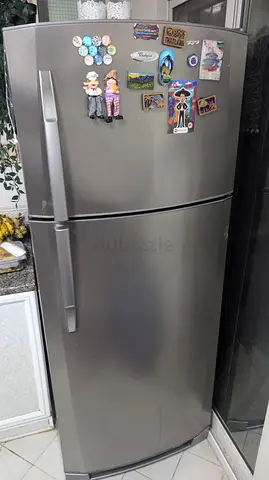 Fridge Repair service