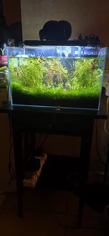 Aquarium + Aquascape