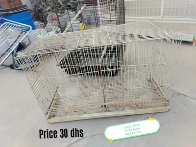 Used small bird cage with tray