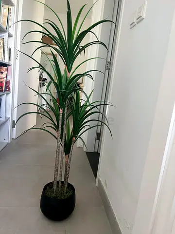 Artificial Palm Tree with Black Planter