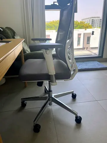 HOLLUDLE Ergonomic Office Chair with Headrest