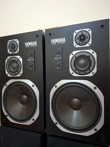 Yamaha NS-500M.