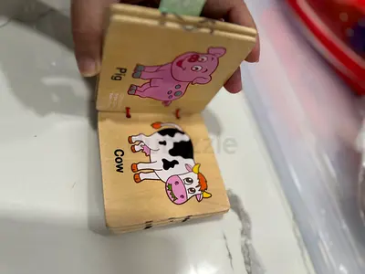 Wooden Farm Animal Board Book for Toddlers - Preloved