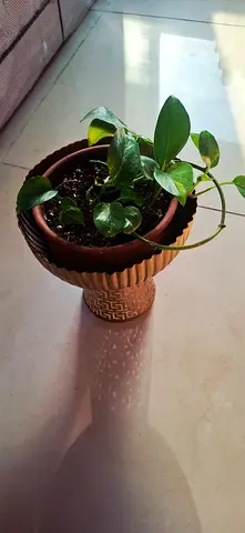 Planter pot