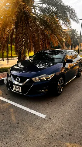 2016 Nissan MAXIMA 照片 5