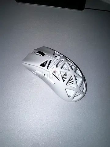 Aula mouse