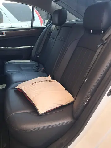 2014 Hyundai GENESIS — фото 4