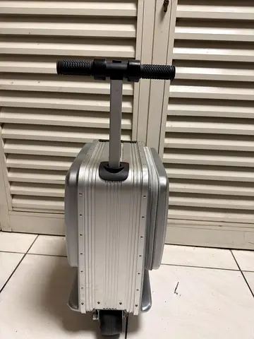 hand carry bag electric