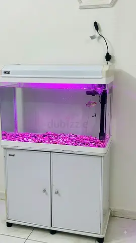 White Aquarium with Matching Storage Cabinet & Stand – Excellent Condition