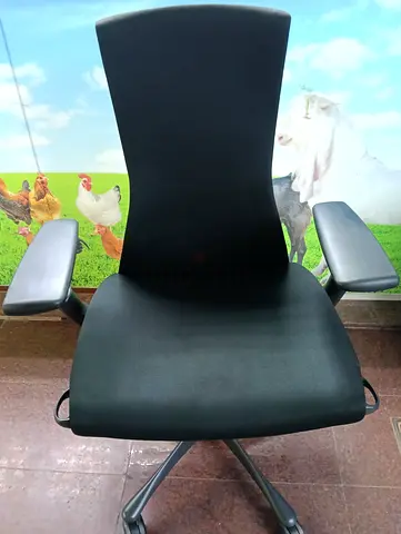 Embody chair for selling.black colour