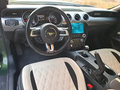 Ford Mustang Roush, миниатюра 18