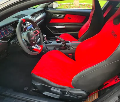 Ford Mustang Mach 1 Premium, миниатюра 16