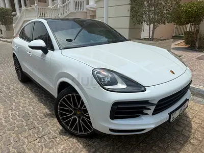 ابوظبي