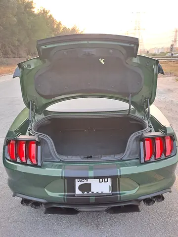 Ford Mustang Roush, миниатюра 13