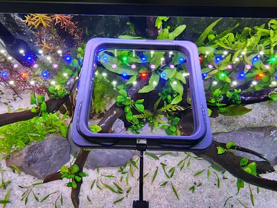 Aquarium Fish Feeding Floating Square
