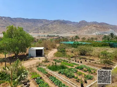 فرصة استثمارية نادرة | مزرعة للبيع في البدية – الفجيرة