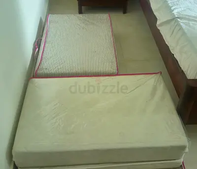 Two Comfortable Foldable Mattresses