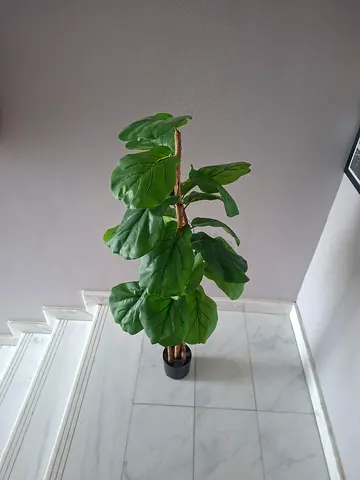 Fake Plant