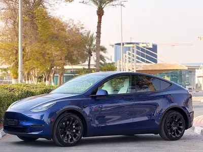 2023 Tesla MODEL Y 照片 2