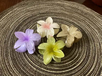 Set of 4 Floral Hair Clips — Pastel Plastic Plumeria Style