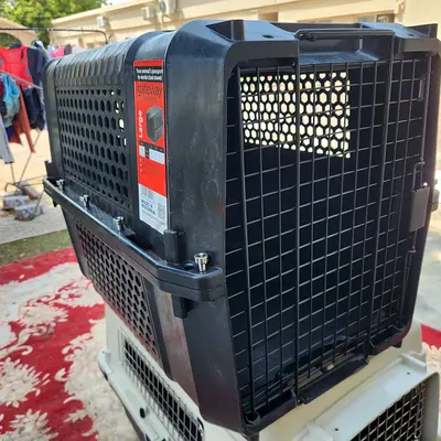 Dogs carriers for air travel