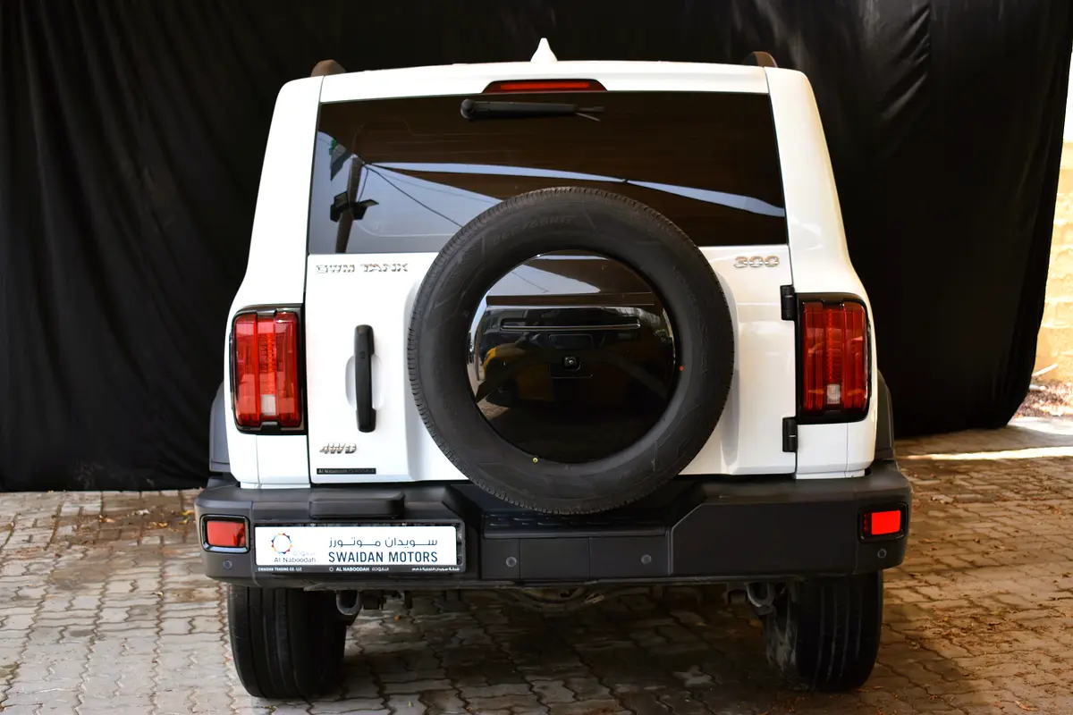 تانك 300 2024