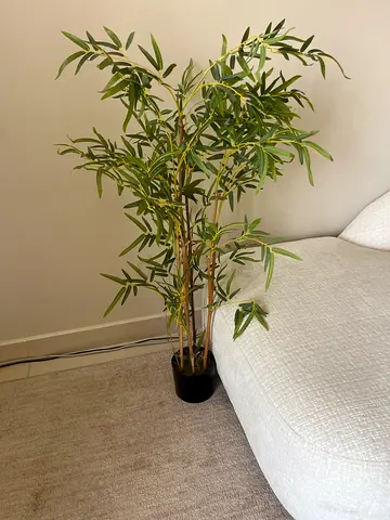 Tall artificial potted olive/leafy plant - perfect for corner decor