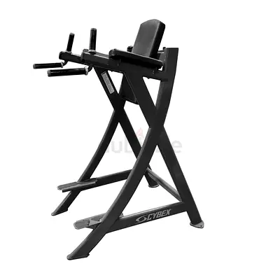 Cybex Vertical Knee Raise | Leg Raise & Dip Machine | Commercial Gym Equipment