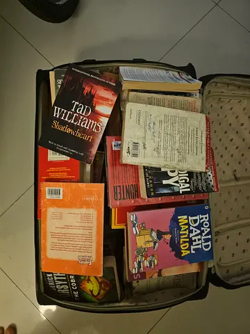 Used mixed paperback books collection including Matilda, thrillers and more (50 books for 100 dhs)