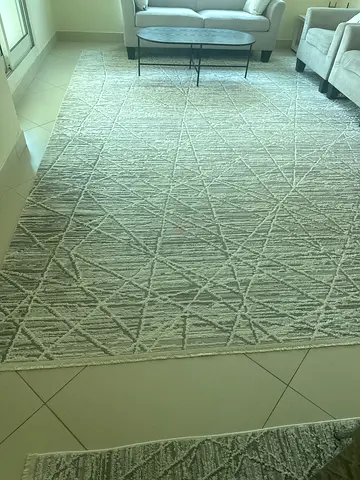 Large Light Grey Geometric Area Rug - Good Condition