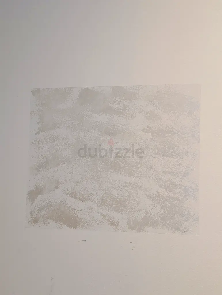 DPV_View_Image_4