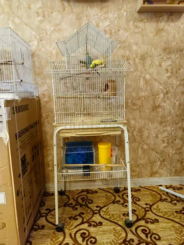 Bird cage with table