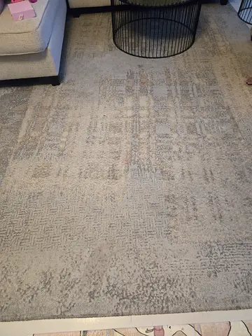 Light grey modern area rug - large, good condition