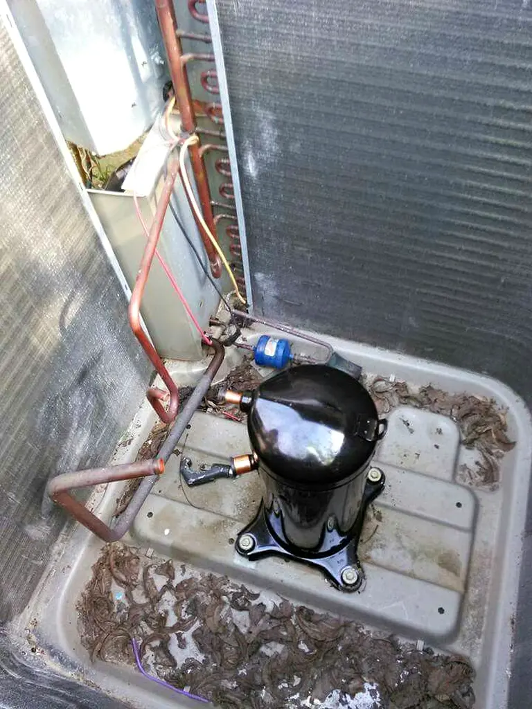 DPV_View_Image_1
