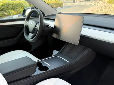 2023 Tesla MODEL Y thumbnail 14