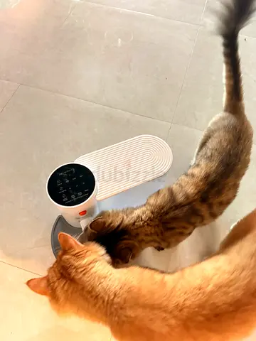 Pet fountain and automatic feeder , 2 months usage