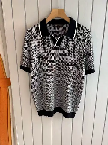 Loro piana polo T-shirt for men