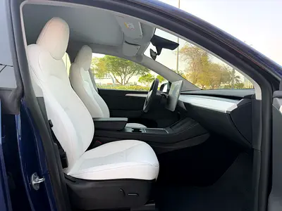 2023 Tesla MODEL Y 照片 8